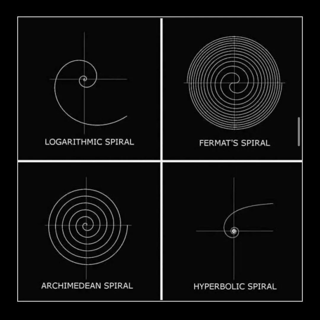 An Instagram post added on Aug 11, 2024. The author is @aredotna. May present: iperbolic spiral, nautilidae, circle, spiral, logarithmic spiral.